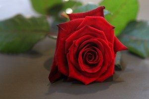 uitvaartfotografie Hamar