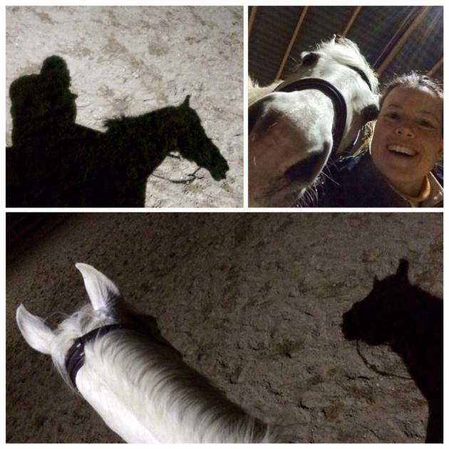 paard, rijden, rijbak, selfie