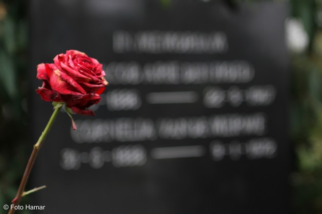 Roos bij graf op begraafplaats als laatste herinnering
