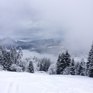 Besneeuwde berg met witte bomen. Uitzicht bij laatste afdaling