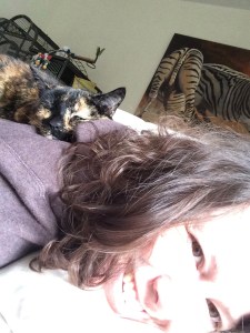 kat ligt op rug van baasje