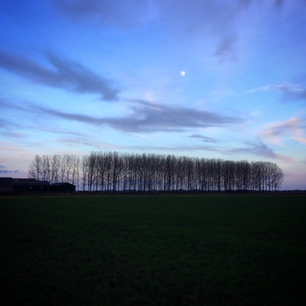Paardenstal met bosstrook en volle maan