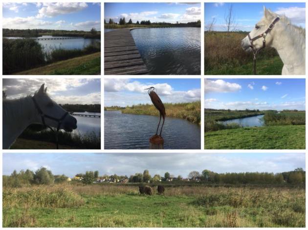 wandelpaden met uitzicht op de polder