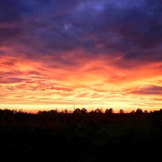lucht in paarse, roze en oranje tinten.