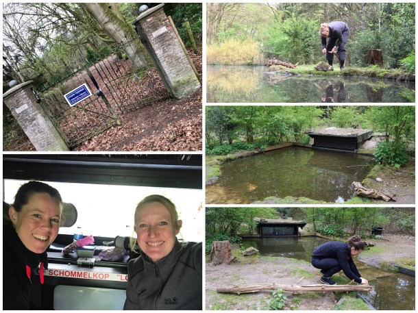 Overzichtfoto van vogelhut en het hek